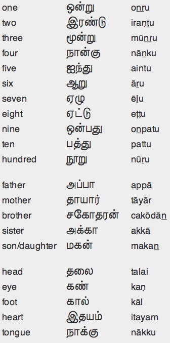 tamil words in sinhala